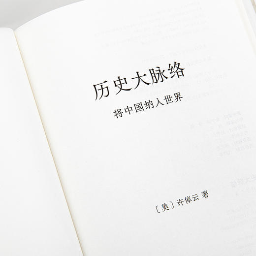 历史大脉络 商品图9