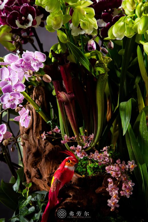 蛇舞添新景 商品图2