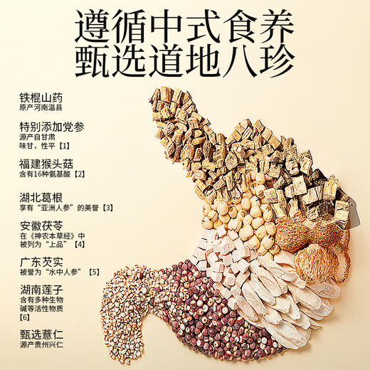 [屁侠推荐]老金磨方八珍粉500g党参铁棍山药益生元古方健康早餐谷物代餐粉早餐 商品图5
