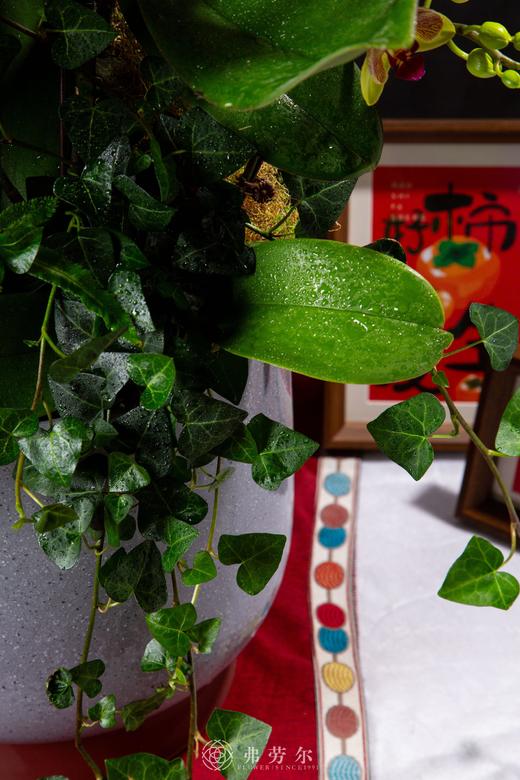 蛇影翻腾 商品图3