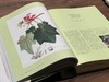 《法国国家自然博物馆犊皮纸博物画：艺术与科学的传世瑰宝》，作者:[法] 帕斯卡莱·厄泰尔/米歇尔·勒努瓦，译者:金小燕，14斤重、633页，大8开，布面精装带函套，华中科技大学出版社2020年1月一版 商品缩略图6