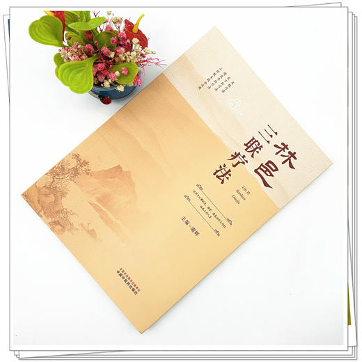 林邑三联疗法 谢辉主 主编 中国中医药出版社 中医临床 书籍 商品图1