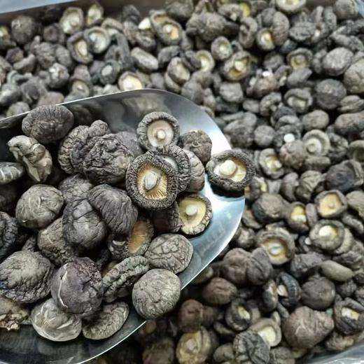特级香菇250g 商品图3