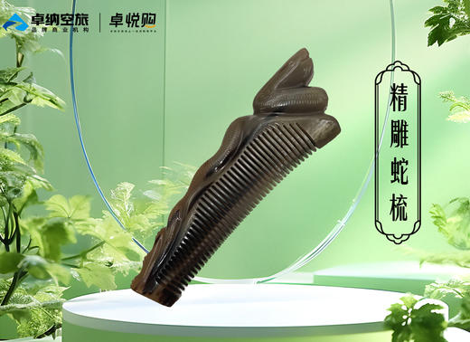 S1021蛇梳 商品图0