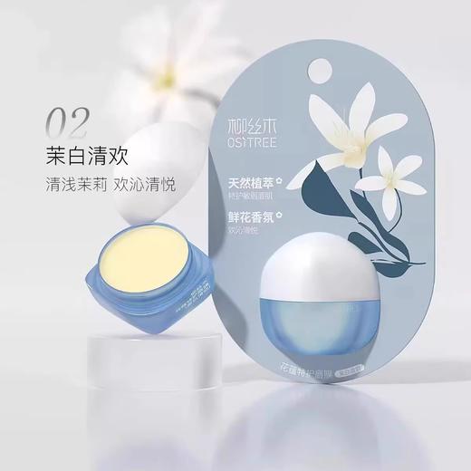 【29元会员福利】柳丝木花蕴特护唇膜6g（潮品） 商品图1