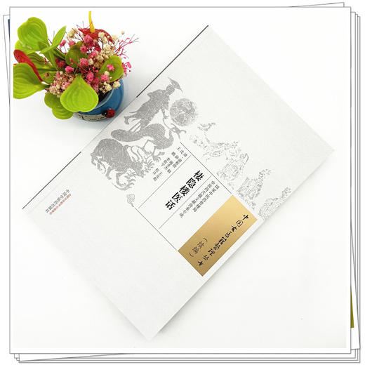 棲隐楼医话 清.俞彬蔚 著 中国古医籍整理丛书续编 中国中医药出版社 商品图1