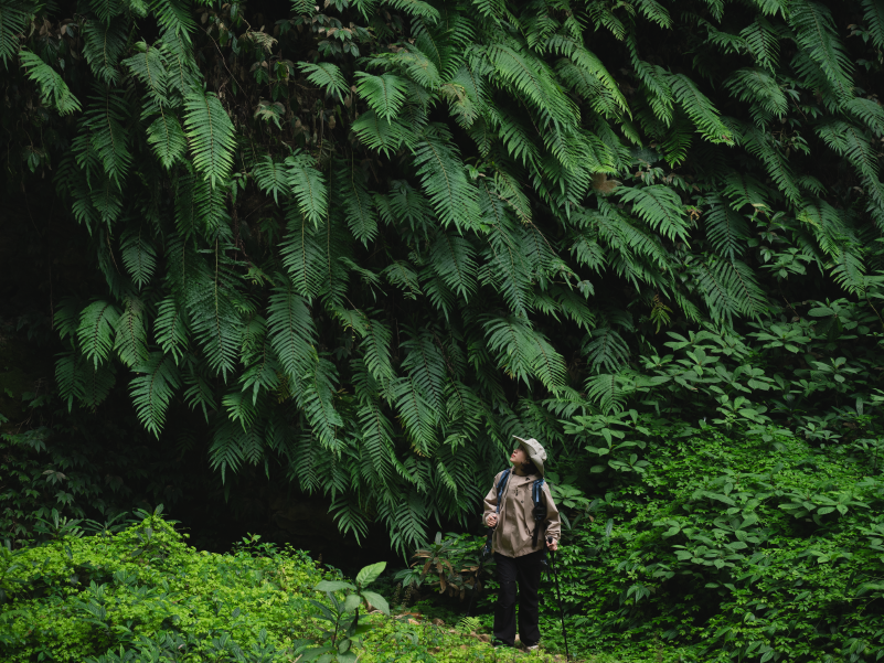 山海广西（野奢线）｜涠洲岛百色5/7日轻奢之旅