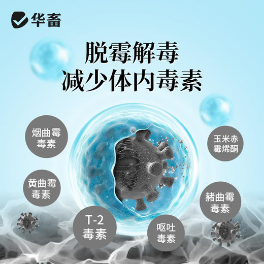 【积分兑换】华畜全能母康100g 母猪保健专用，产程短奶水足减少体内毒素 商品图3