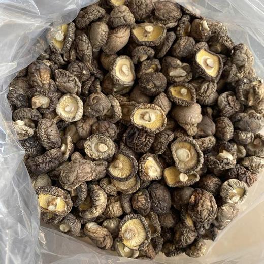 特级香菇250g 商品图2
