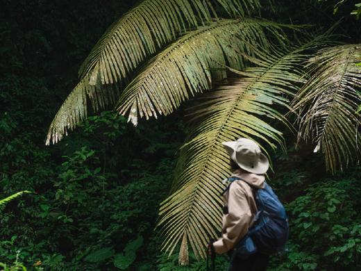 山海广西（野奢线）｜涠洲岛百色5/7日轻奢之旅 商品图8