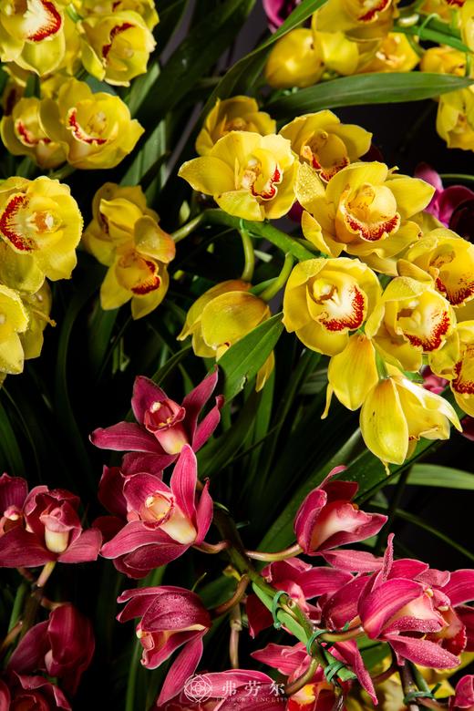 金蛇兆好运 商品图1