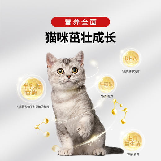 【2罐加送赠品 需要奶瓶下单备注】谷登天然亲护配方羊奶粉（猫用）200g 商品图4