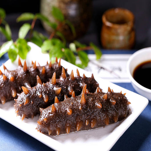 融五福 正宗大连精制干海参  滋补佳品营养丰富泡发率高礼盒装送礼推荐 商品图4