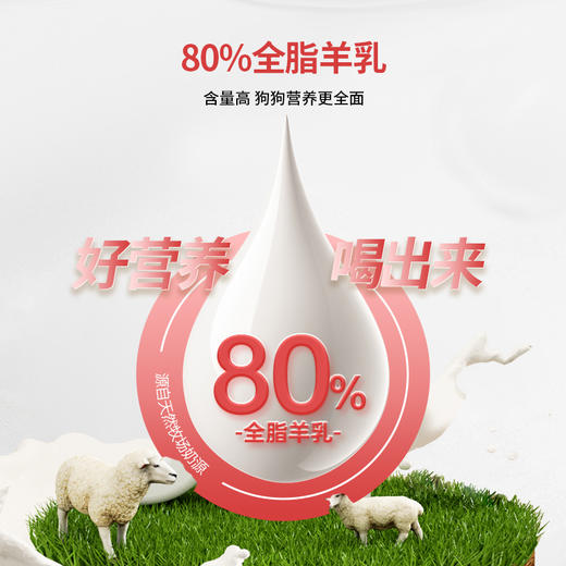 【2罐加送赠品 需要奶瓶下单备注】谷登天然亲护配方羊奶粉（犬用）200g 商品图2