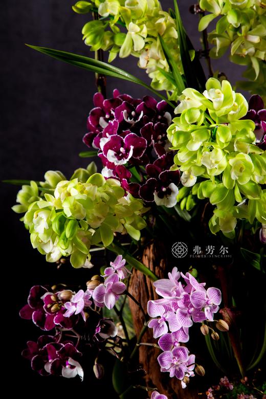 蛇舞添新景 商品图1