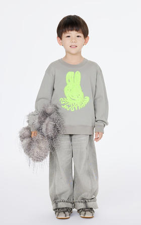 jnby   25年春款  套头卫衣   1P1411660