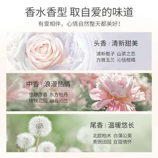 阿道夫净屑舒爽洗发香乳560ml 商品图5