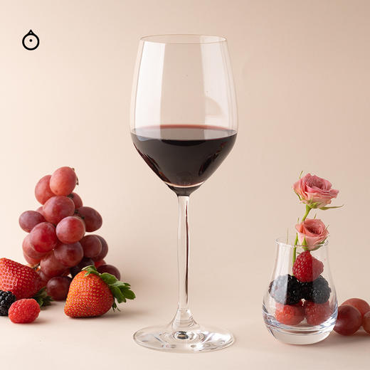 企鹅市集|澳大利亚澳洲 威廉唐尼酒庄 大教堂黑皮诺干红葡萄酒 2024 商品图3