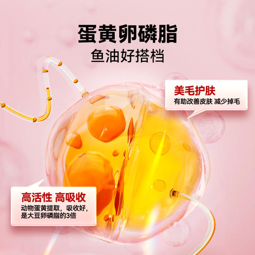 【2罐加送赠品】谷登卵磷脂鱼油颗粒（猫用）300g 商品图1
