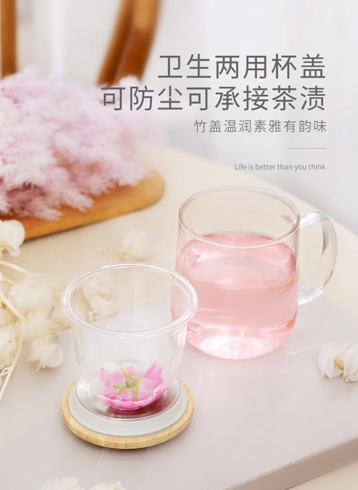 雅集玻璃杯悠觉杯400ml贴花（ENJOY LIFE） 商品图6