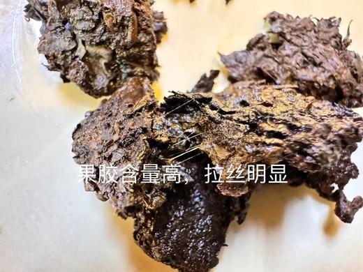 2024春 帕莎老茶头 普洱熟茶 100克起 商品图1