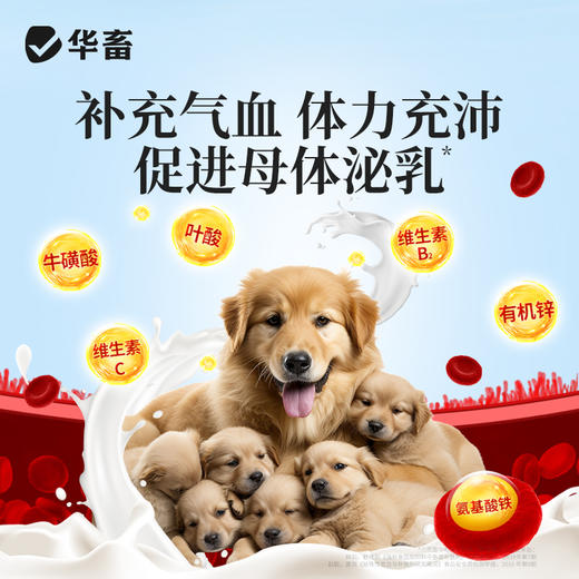 华畜 母狗全能补 成分多营养足 免疫强少生病 补气血奶水足 强骨骼幼犬壮 商品图4