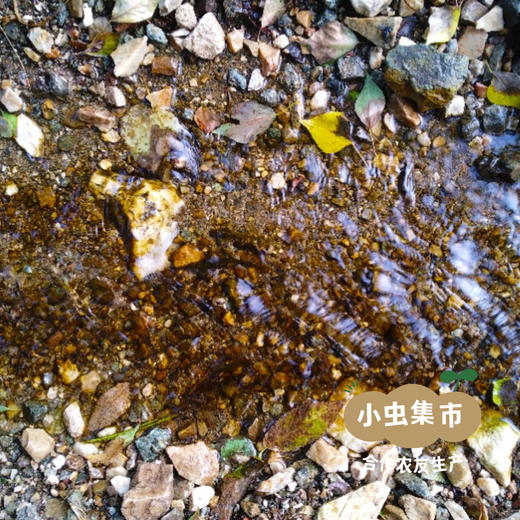 生态山楂零食系列 山楂条/山楂糕 | 合作农友生产，来自北京顺义，生产者：分享收获 *【公平贸易农人定价】 商品图8