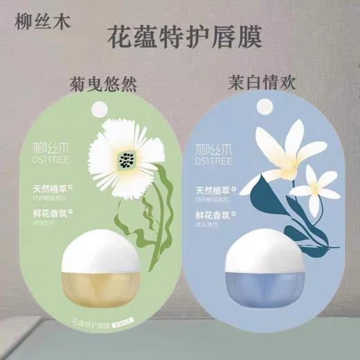 【29元会员福利】柳丝木花蕴特护唇膜6g（潮品） 商品图0