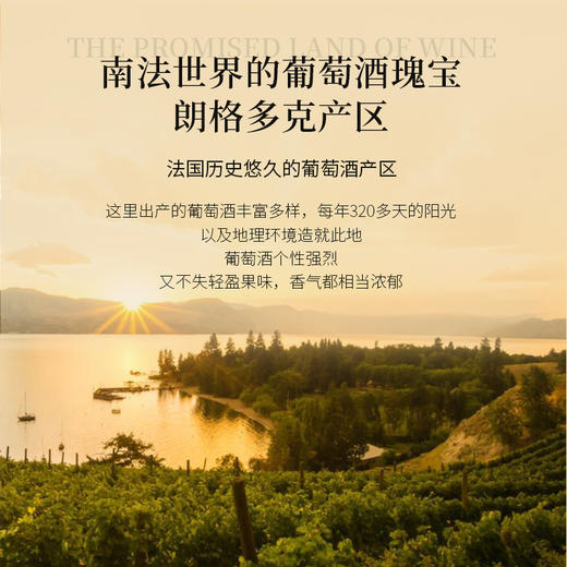 【酒庄30年纪念版】露颂·圣托里尼红葡萄酒 法国朗格多克产区 14%vol 商品图4