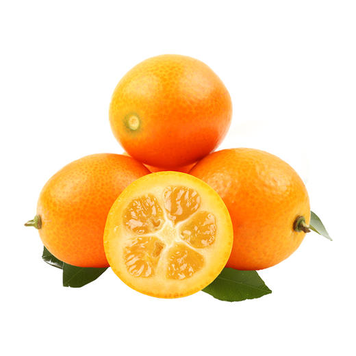 广西脆蜜金桔 1.6斤 商品图4