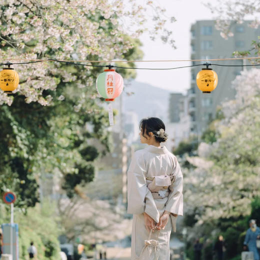 日本| 九州樱花季·7天6晚 商品图0