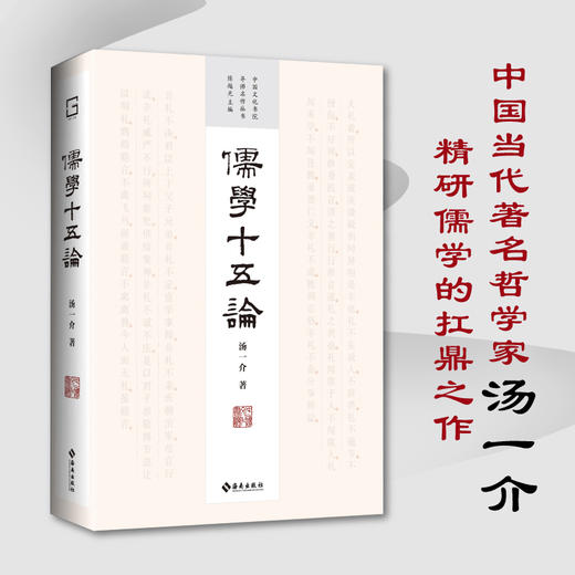 儒学十五论：中国当代著名哲学家 汤一介 精研儒学的扛鼎之作 商品图0
