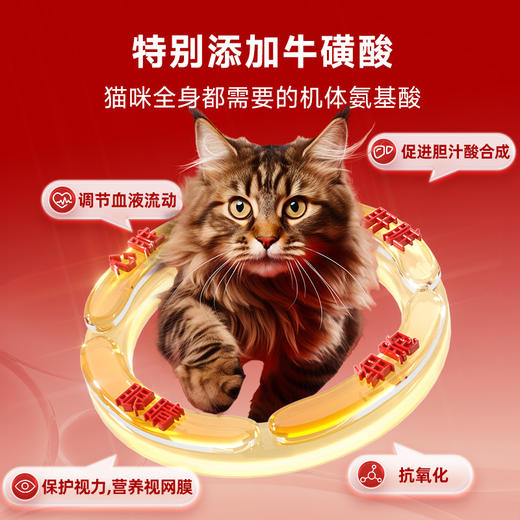 谷登复合维生素片0.5g/片*200片  （猫用） 商品图4