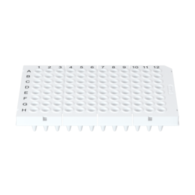 0.2 ml White Semi-Skirted 96-Well PCR Plates（0.2 ml 白色半裙边96孔PCR板）