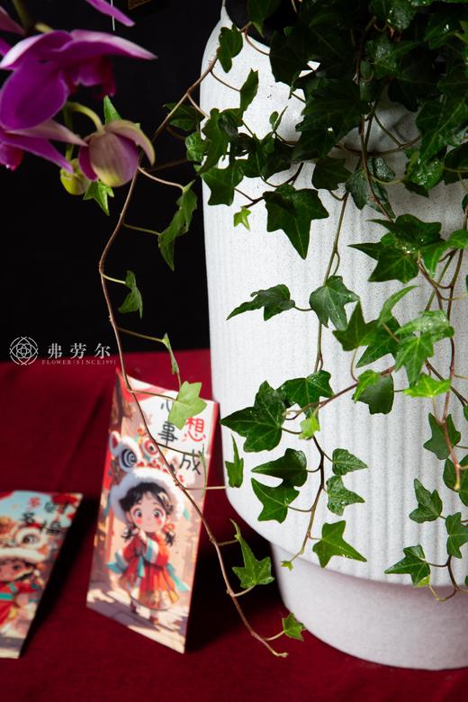 蛇腾盛世 商品图3