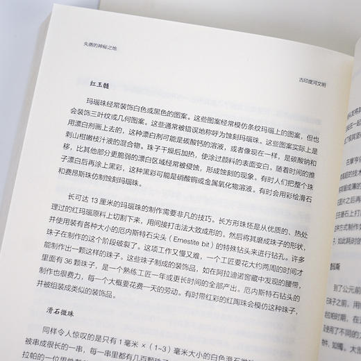 《失落的神秘之地：古印度河文明》 商品图4