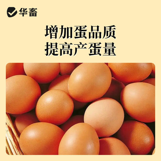 【积分兑换】华畜全能母康100g 母猪保健专用，产程短奶水足减少体内毒素 商品图6