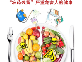 食品安全之食品检测