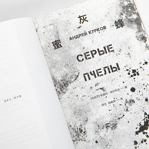 灰蜜蜂 商品图3