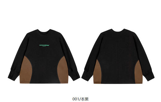 jnby   25年春款  套头卫衣  1P1412110 商品图12