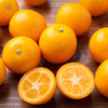 广西脆蜜金桔 1.6斤 商品缩略图2