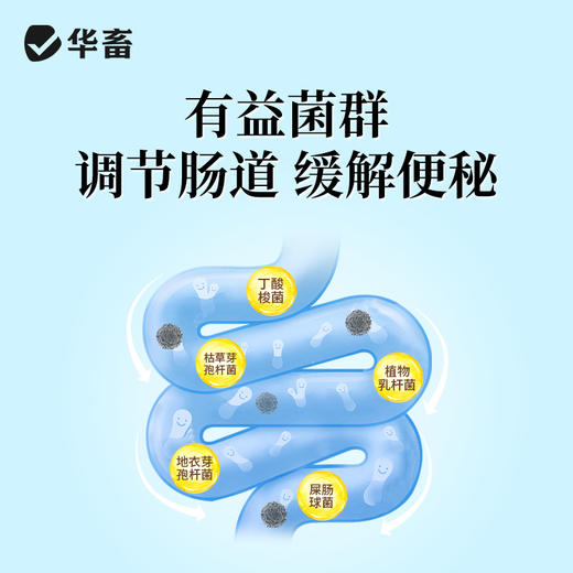 【积分兑换】华畜全能母康100g 母猪保健专用，产程短奶水足减少体内毒素 商品图5