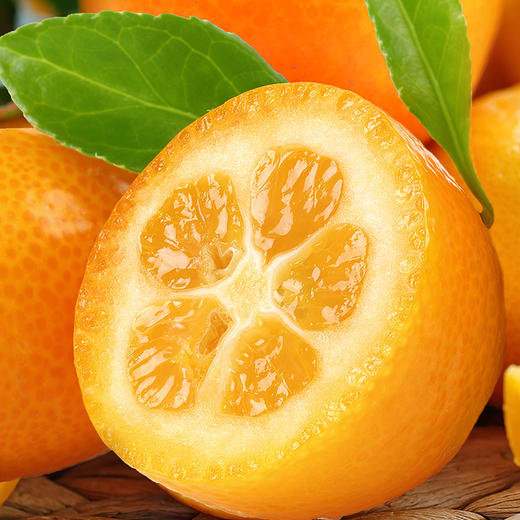 广西脆蜜金桔 1.6斤 商品图1
