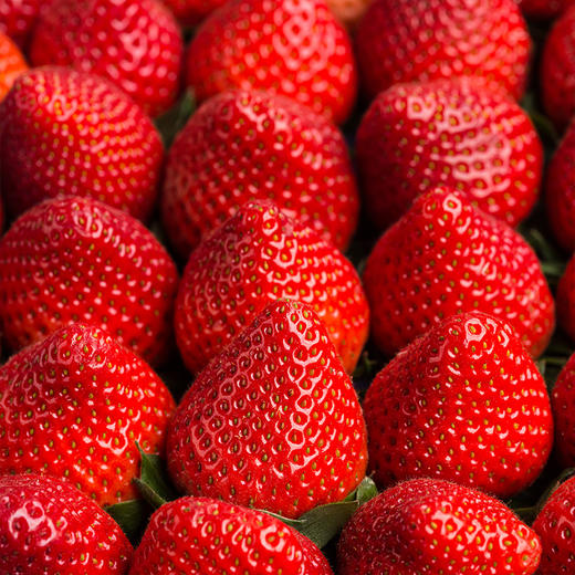 丹东红颜草莓11-15头（线下自提） 商品图3