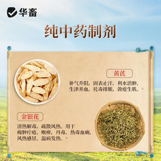 华畜菲蓝清非瘟蓝耳 免疫力强 地抗病毒 商品图3