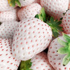 丹东淡雪草莓二合一 商品缩略图1