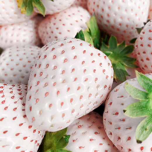 丹东淡雪草莓二合一 商品图1