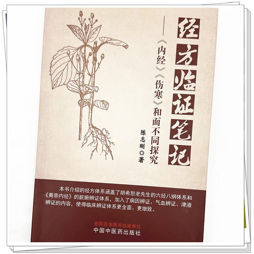 经方临证笔记《内经》《伤寒》和而不同探究 陈志刚 著 中国中医药出版社 商品图3