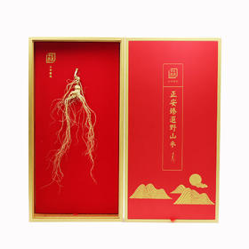 正安·精品野山参干参  长白山人参基地直采  现货发售，建议3根起购，一根泡酒，一根做参蜜茶，一根隔水炖【不可用券】