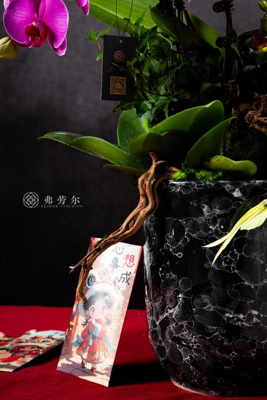 蛇岁呈祥 商品图3